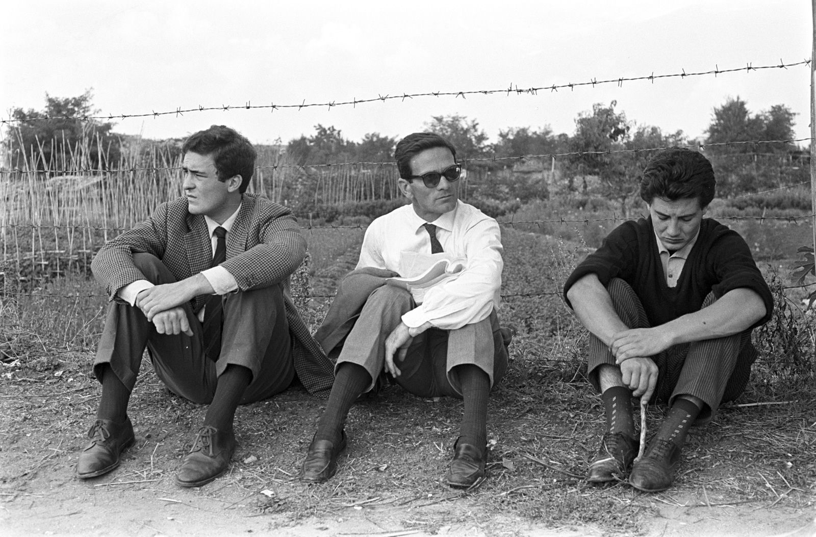 Odiare Pasolini